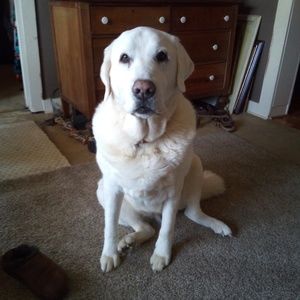 Meet your Posher, Jeff